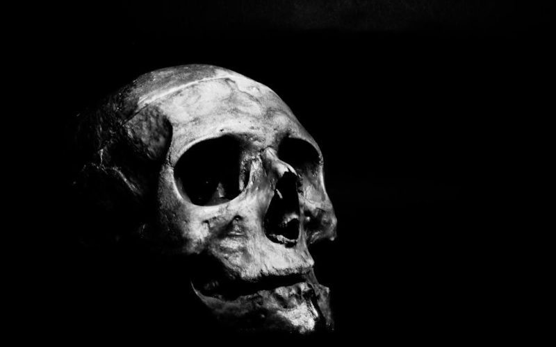grayscale-photography-of-human-skull