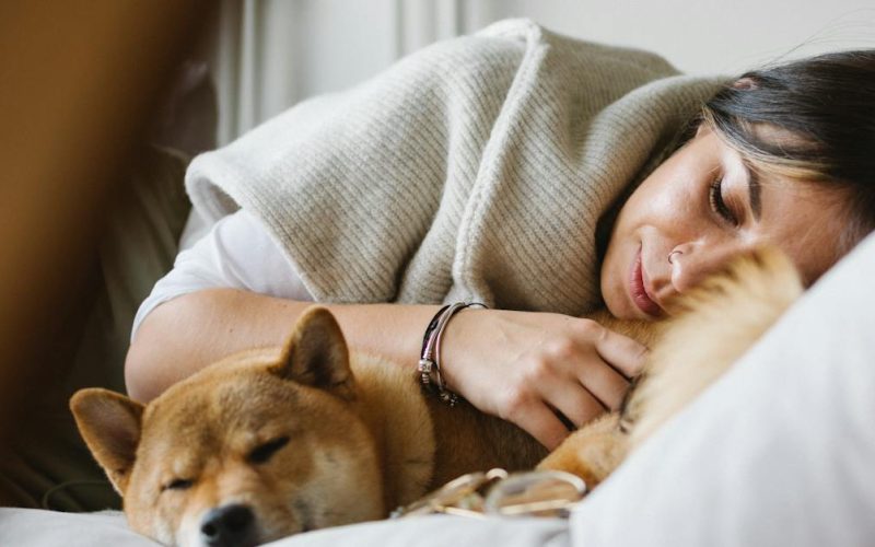 young-woman-with-purebred-dog-sleeping-together-on-soft-couch